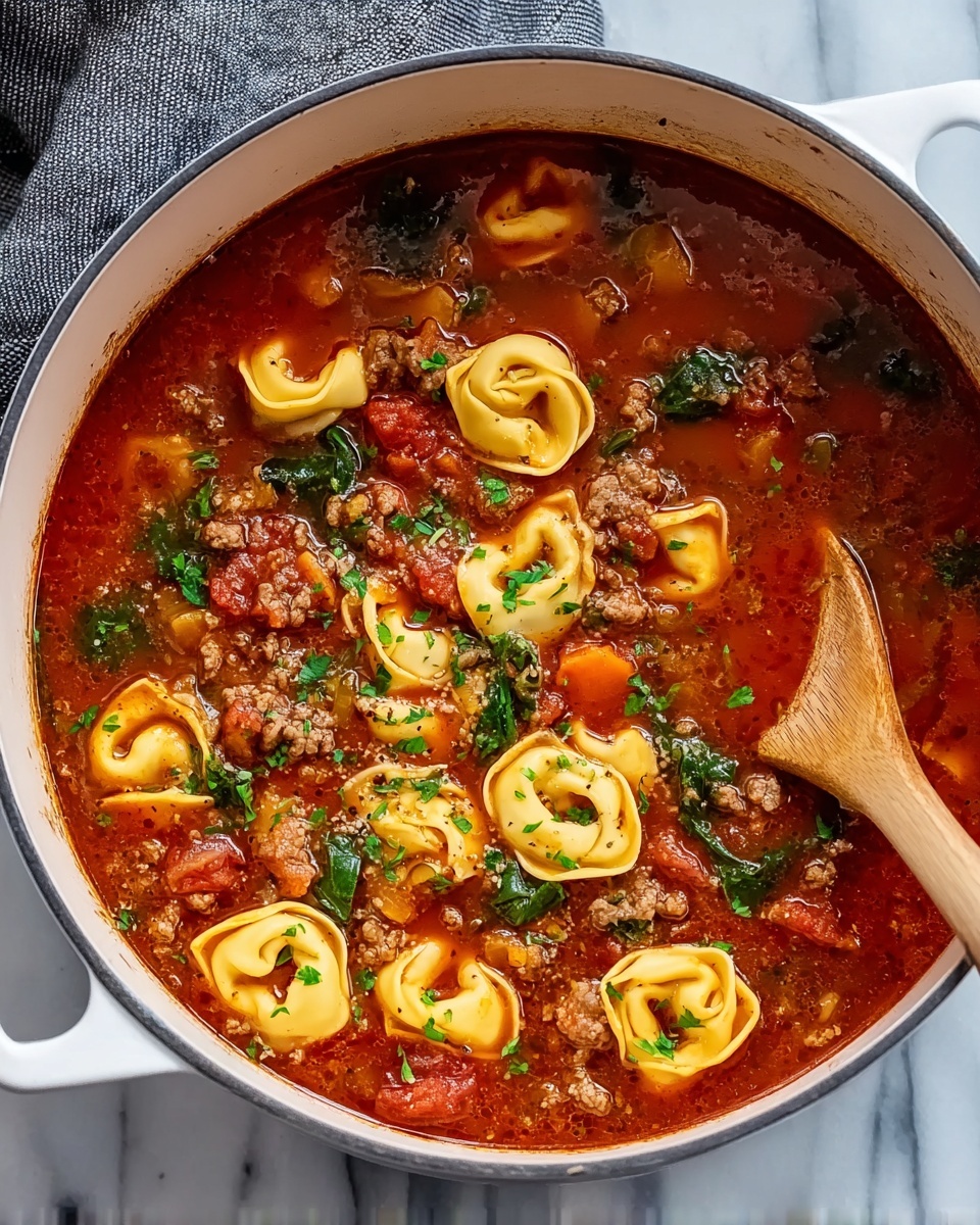 Tortellini Soup Recipe - Recipe Image
