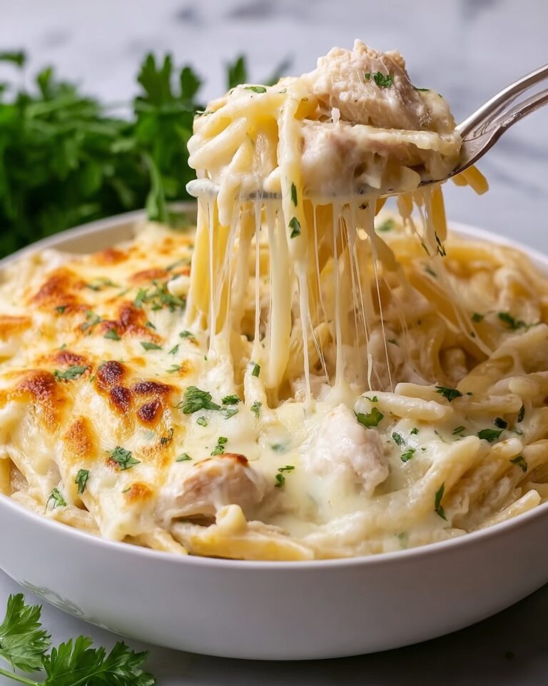 Chicken Alfredo Casserole Recipe