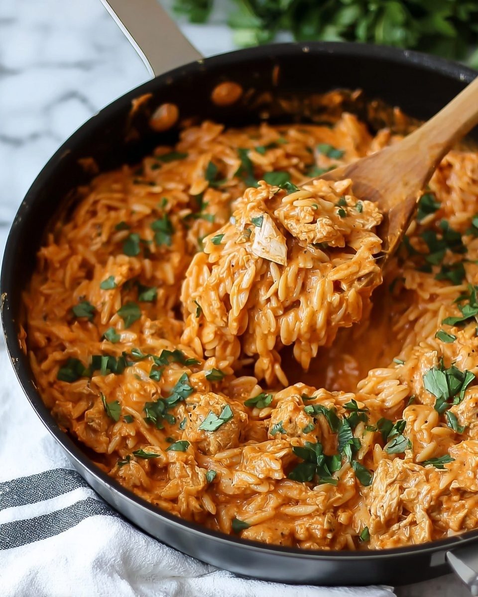 Creamy Tomato Orzo with Chicken Recipe - Recipe Image